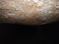 otta Cassone-22042012 223